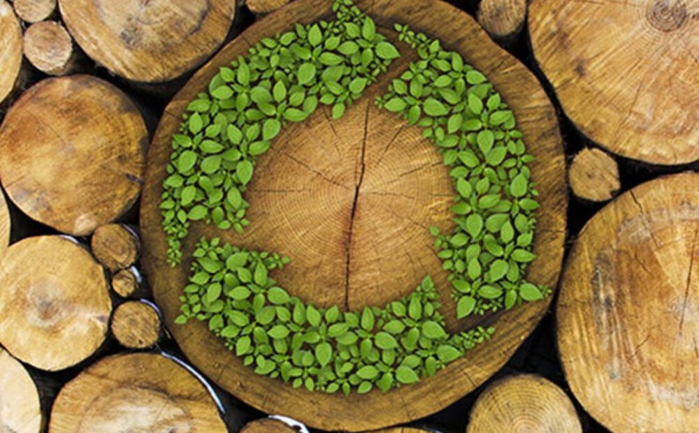 Design led sustainability