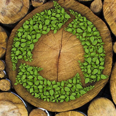 Design led sustainability