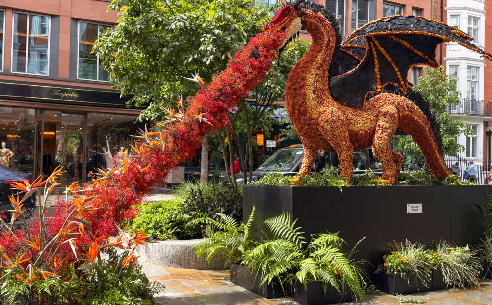 floral fire breathing dragon chelsea in bloom