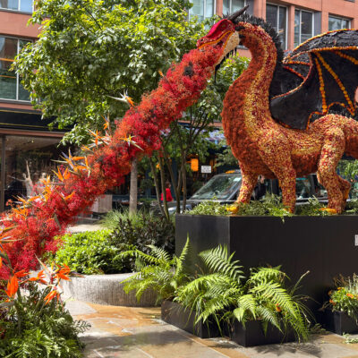 floral fire breathing dragon chelsea in bloom